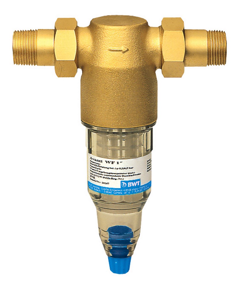 BWT Wechselfilter Avanti WF 1" DN25 50063 | für waagrechten Einbau